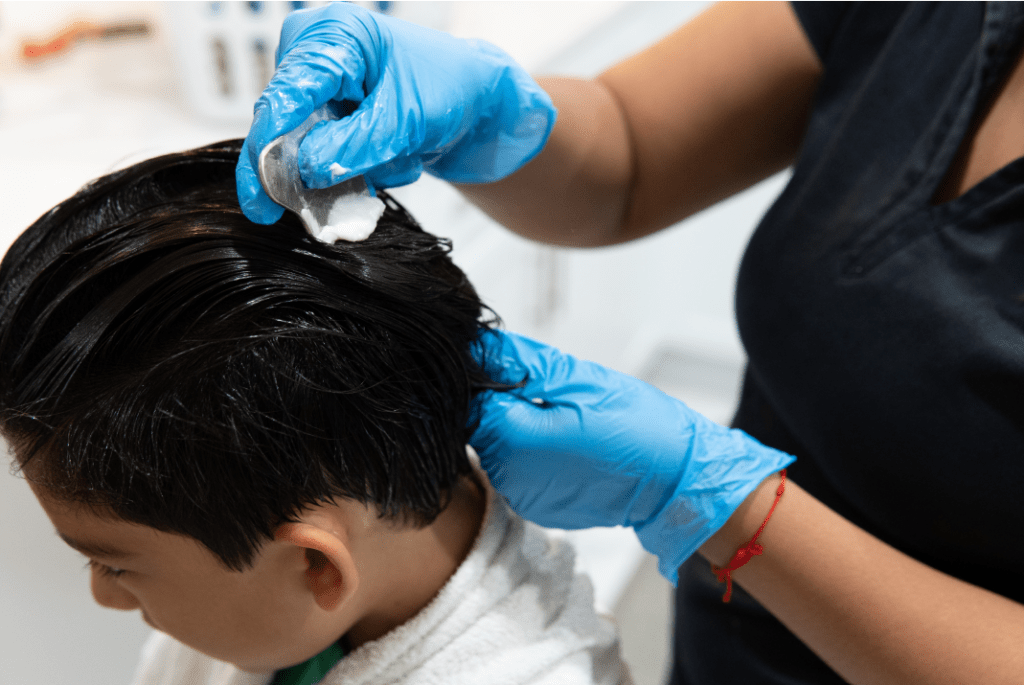 Head Lice Treatment NJ Professional Lice Removal New York Lice and Nits